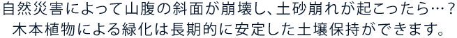 自然災害によって山腹の斜面が崩壊し、土砂崩れが起こったら…？木本植物による緑化は長期的に安定した土壌保持ができます。