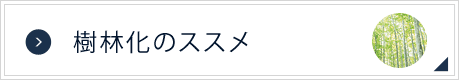 樹林化のススメ