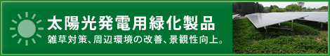 太陽光発電用緑化資材